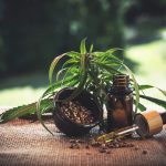 Why CBD Drops are the Most Effective
