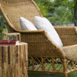 5 reasons why teak is the best species for outdoor furniture