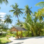 Top Tips for Travelling to a Tropical Destination
